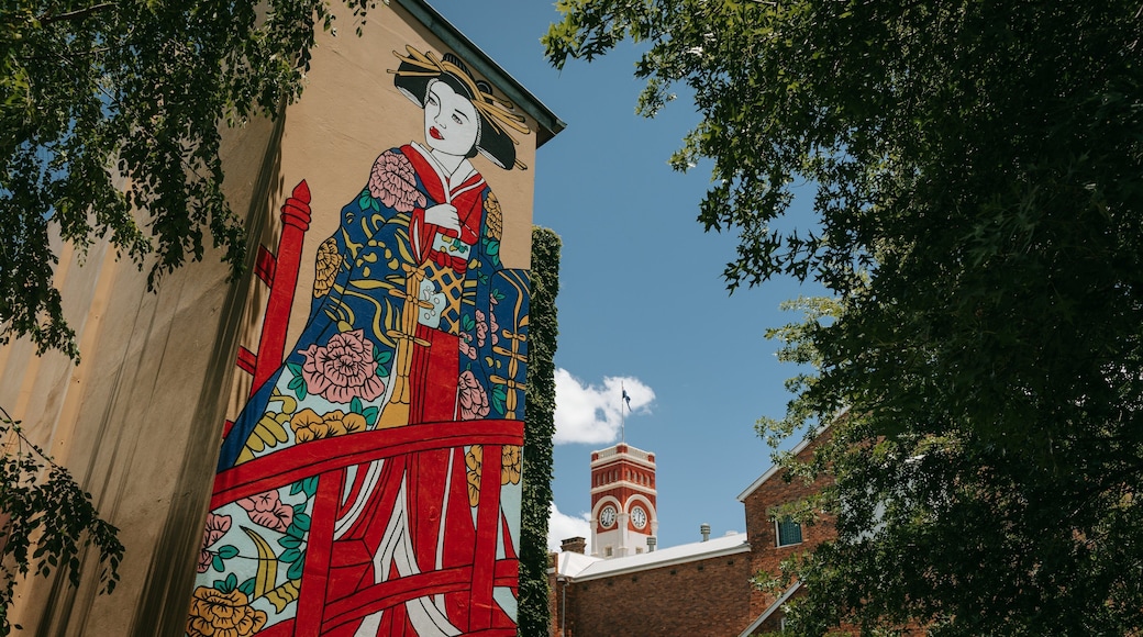Toowoomba Regional Art Gallery featuring outdoor art