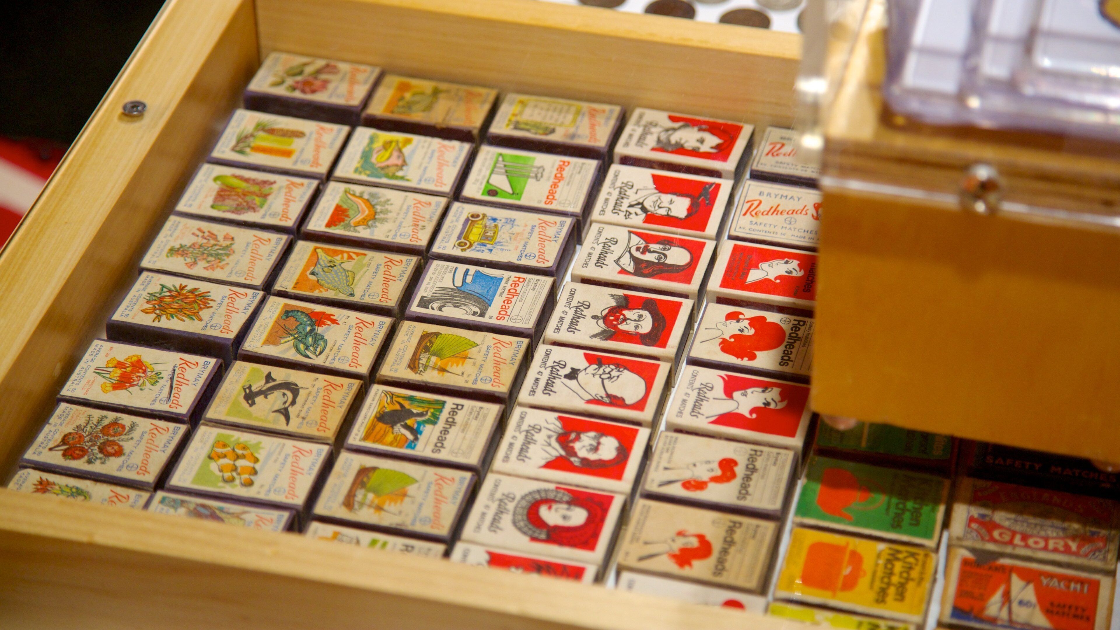 Queensland Museum and Sciencentre featuring interior views