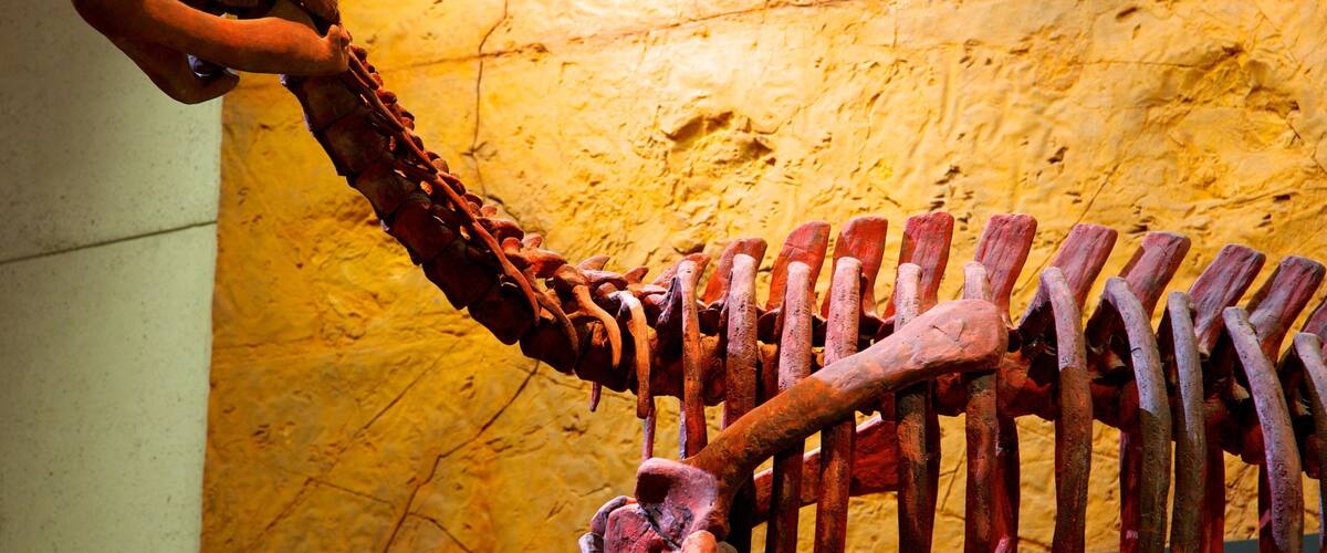 Brisbane ofreciendo vista interna