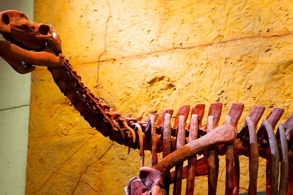 ブリスベン 表示 屋内の眺め