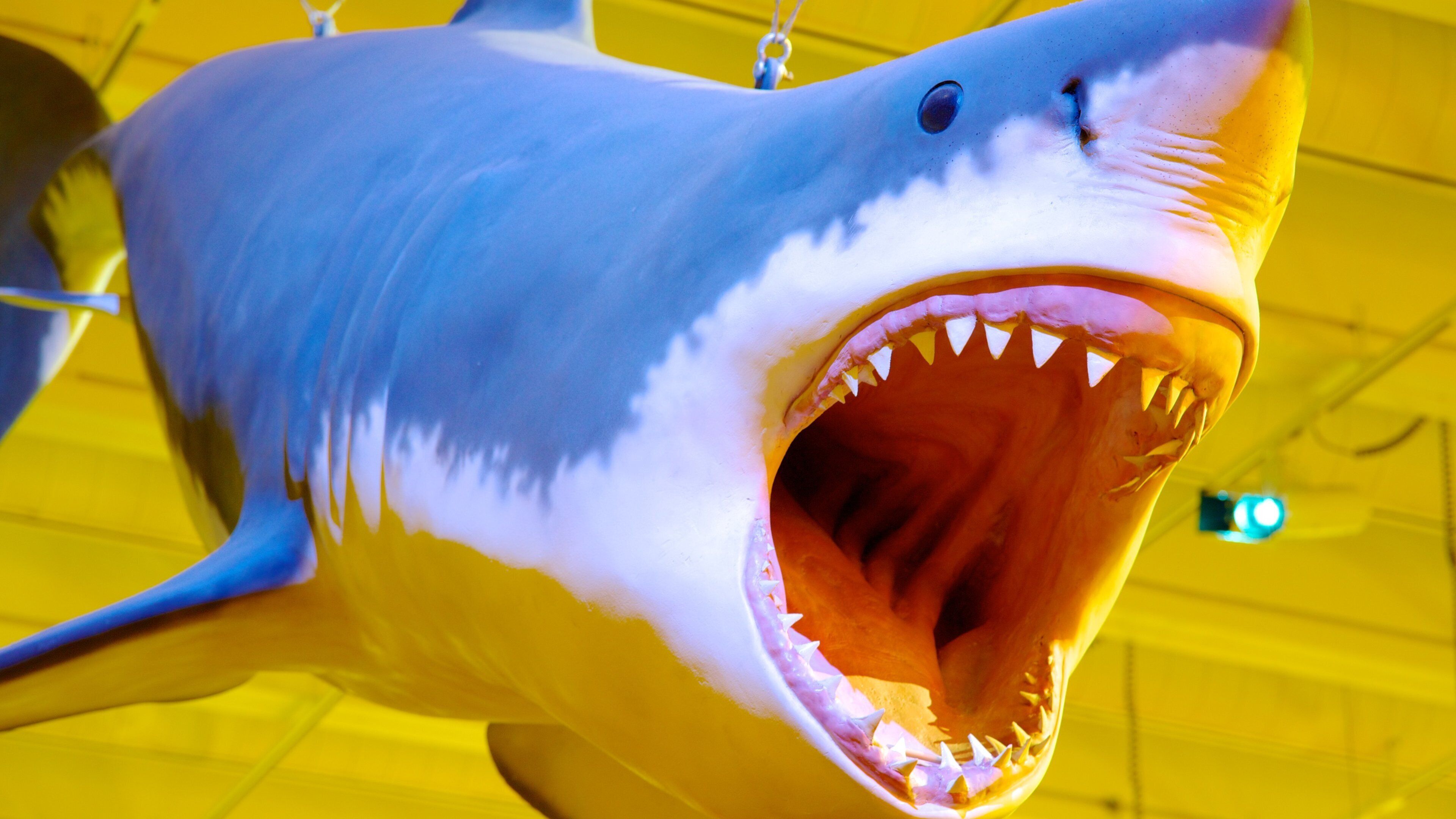 Brisbane inclusief interieur