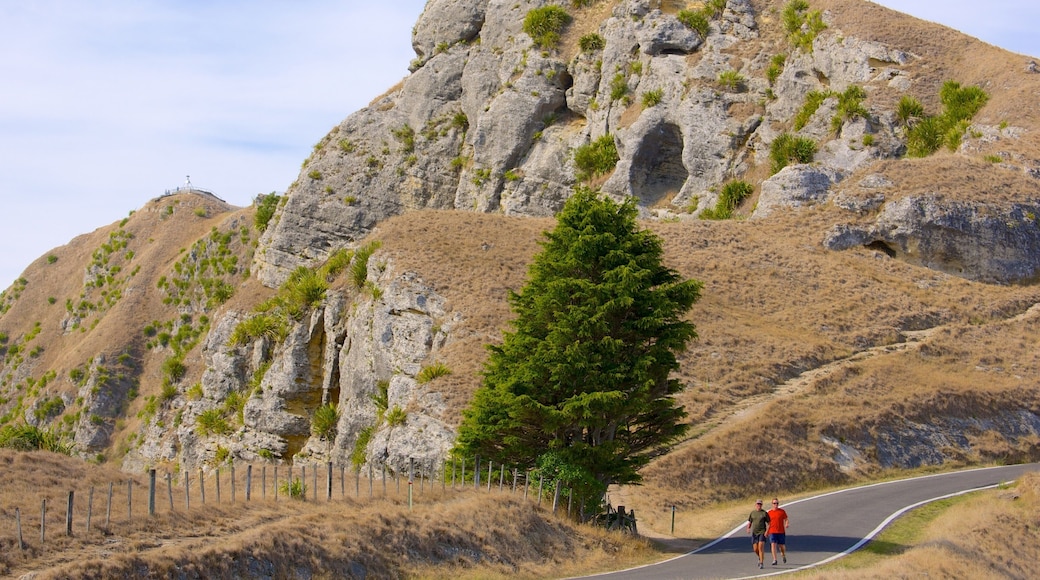Te Mata Peak som viser fjell