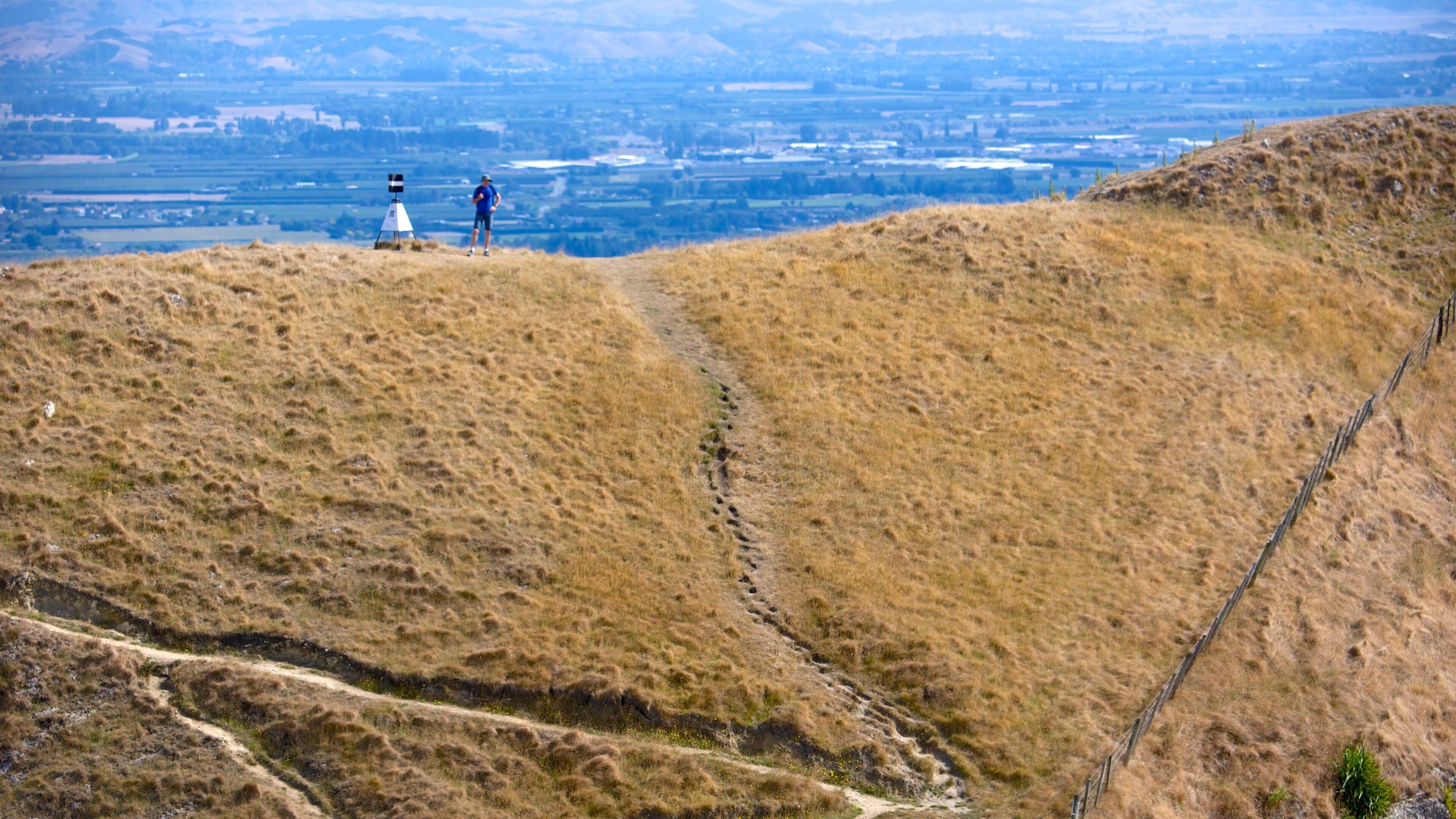 Te Mata Peak showing landscape views