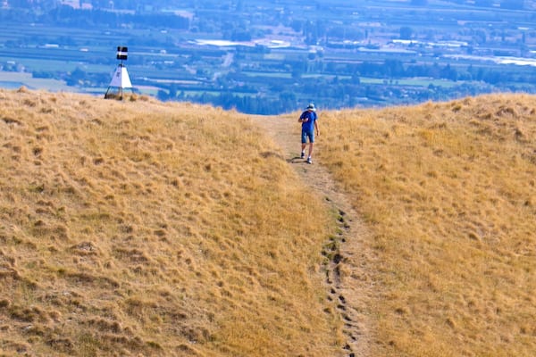 Te Mata Peak featuring tranquil scenes and hiking or walking