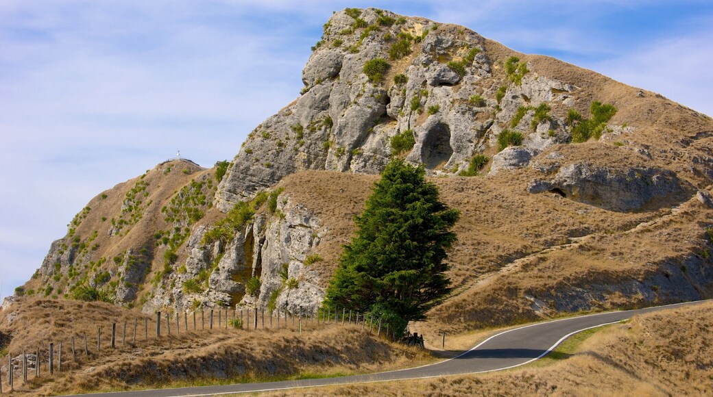 Te Mata Peak mostrando montanhas