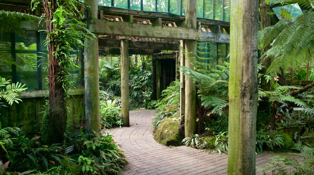 Botanica & Cafler Park som viser innendørs og park