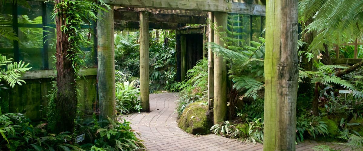 Botanica & Cafler Park 设有 內部景觀 和 公園