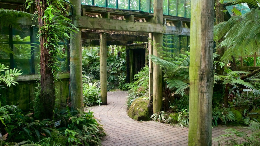 Botanica & Cafler Park ซึ่งรวมถึง การตกแต่งภายใน และ สวน