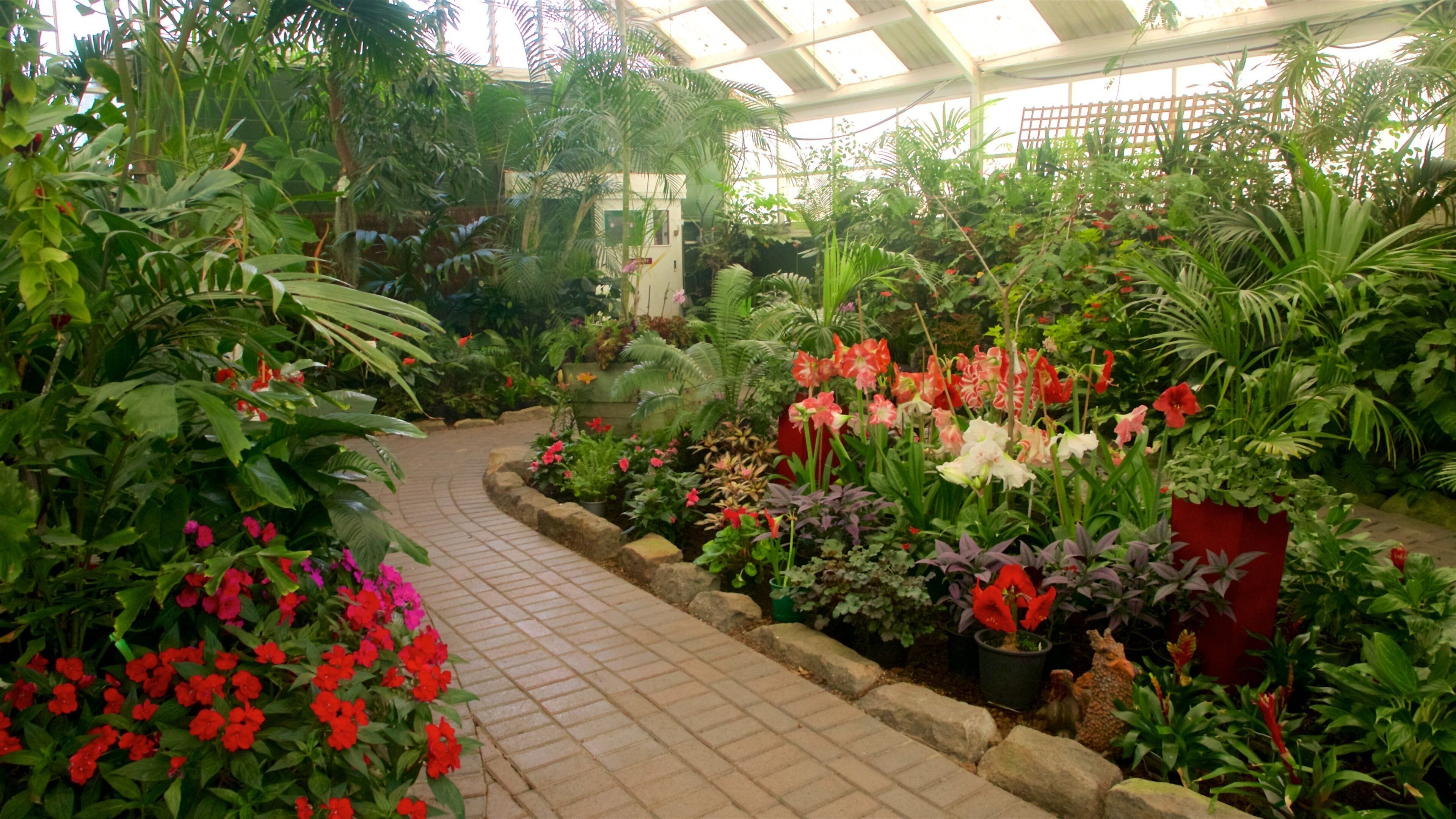 Botanica & Cafler Park fasiliteter samt blomster, innendørs og park