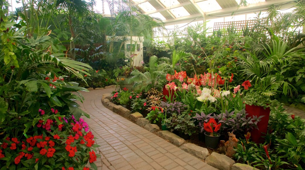 Botanica & Cafler Park fasiliteter samt blomster, innendørs og park