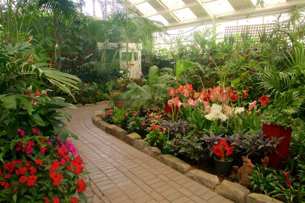 Botanica & Cafler Park showing flowers, interior views and a park