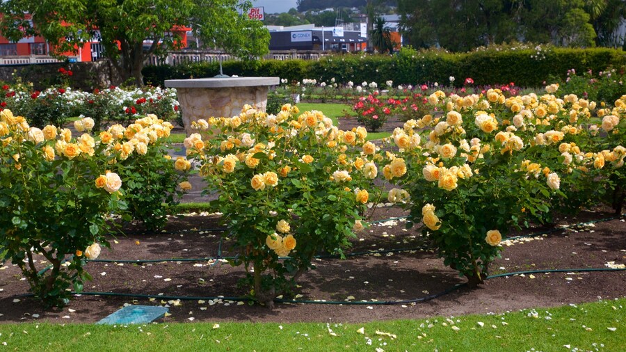 Botanica & Cafler Park showing a park and flowers
