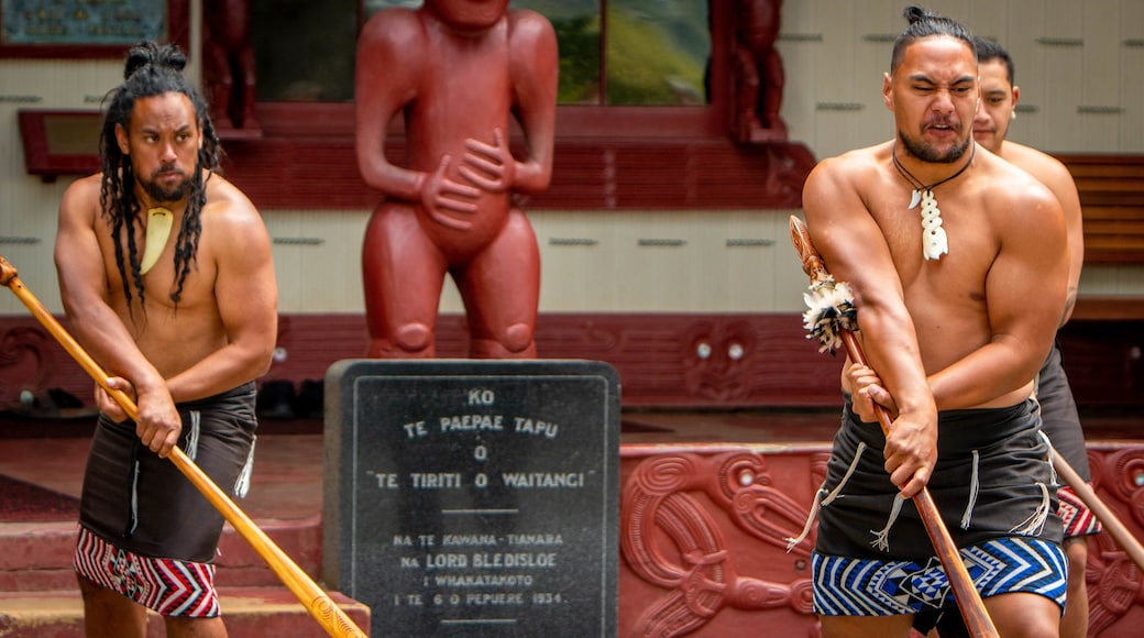 Treaty House showing performance art and indigenous culture as well as a small group of people