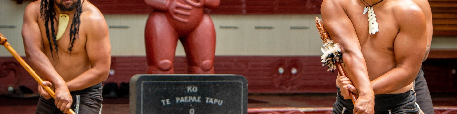 Treaty House showing performance art and indigenous culture as well as a small group of people