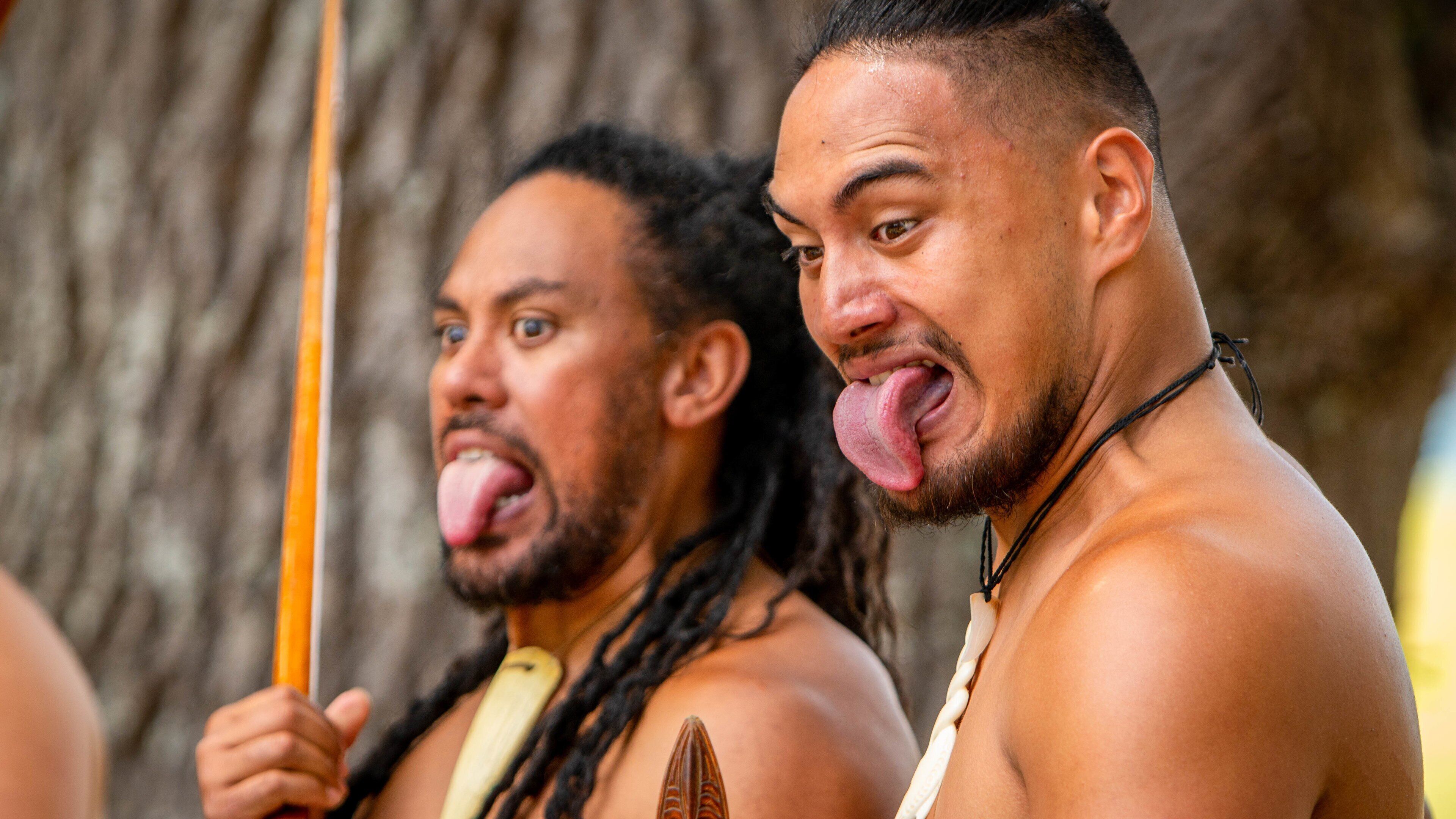 Treaty House which includes indigenous culture as well as an individual male