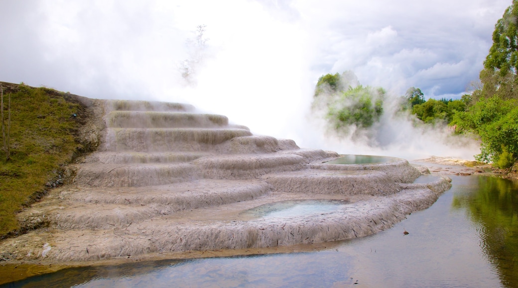 Wairakei showing a hot spring