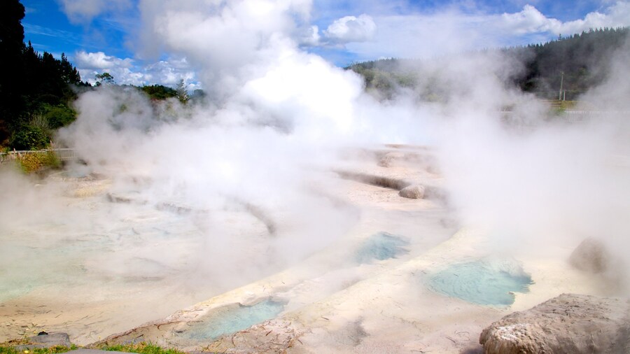 Wairakei Terraces & Thermal Health Spa showing a hot spring and mist or fog