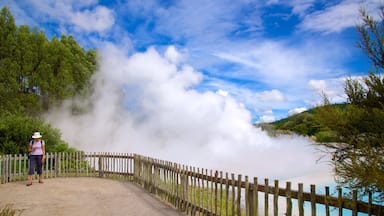 Wairakei which includes mist or fog as well as an individual femail