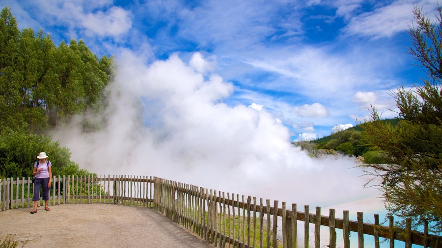 Wairakei featuring mist or fog as well as an individual female