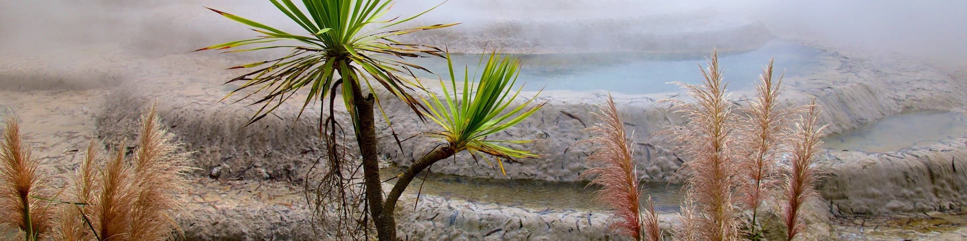 Wairakei featuring a hot spring