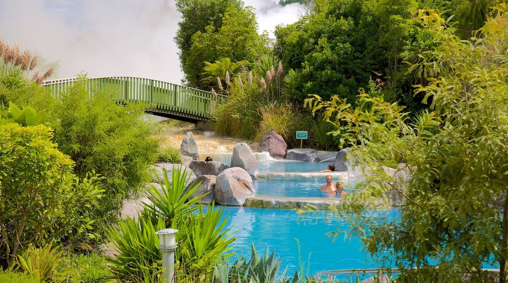 Wairakei showing a hot spring