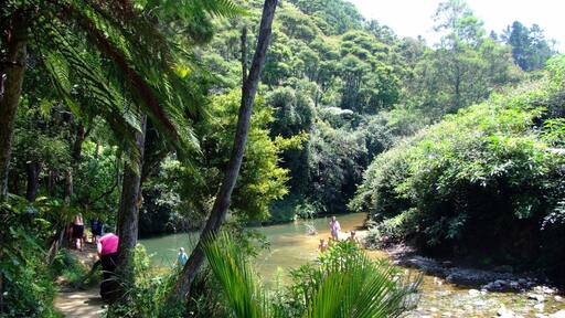 The Waterworks - Excellent view in our park visit