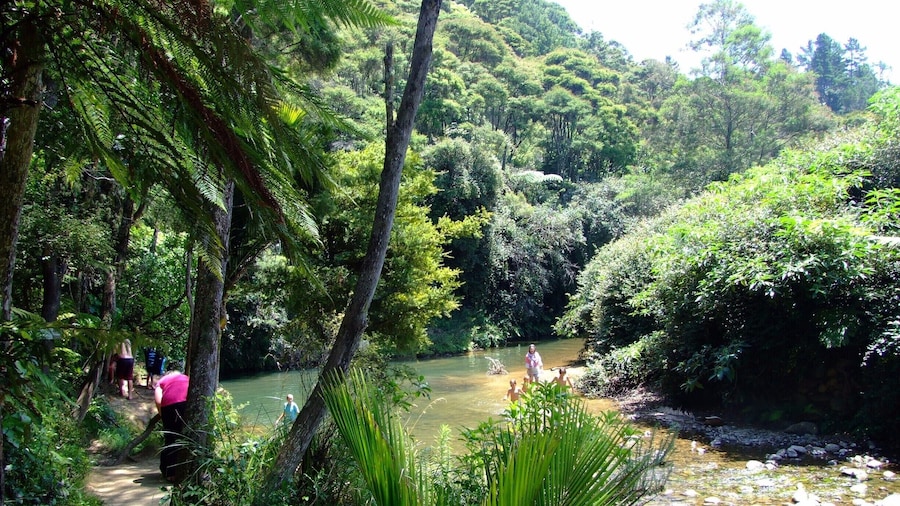 The Waterworks - Excellent view in our park visit