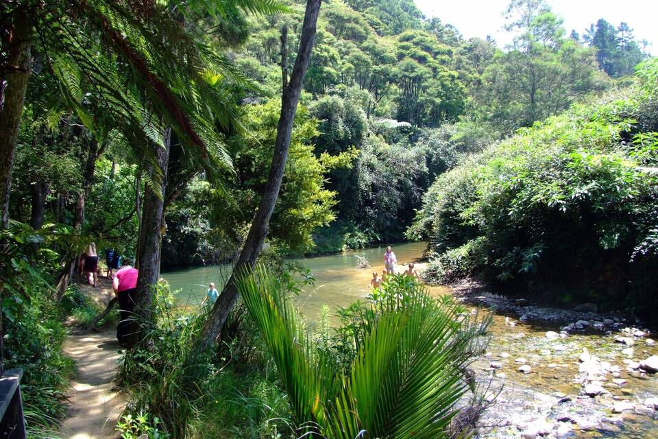 Une rivière bordée d’une forêt dense et un sentier de terre.