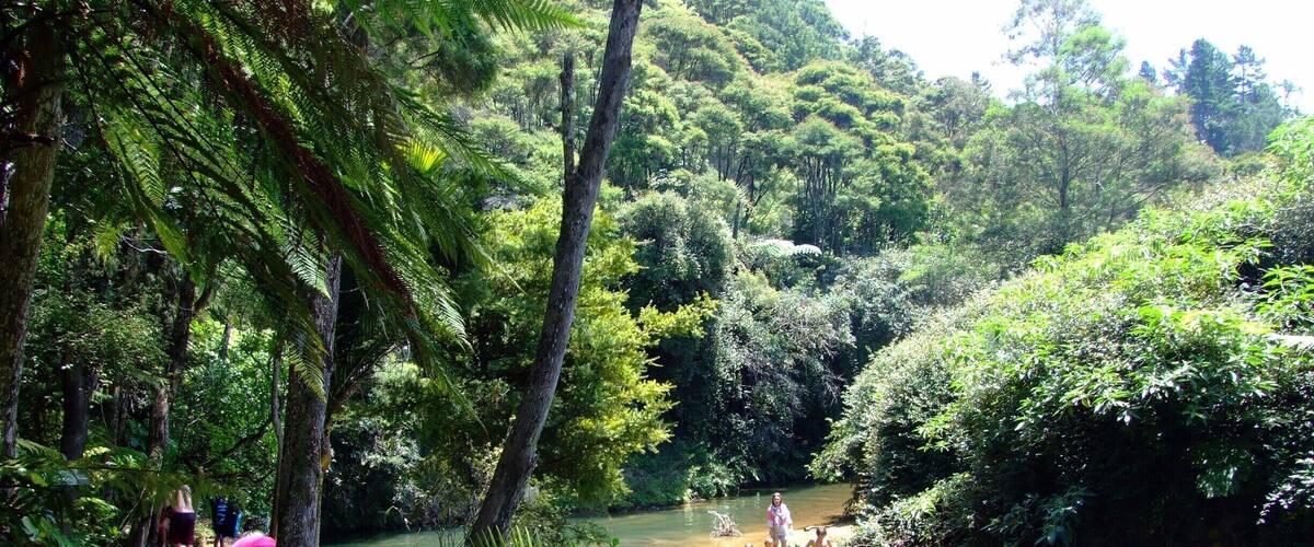 A river surrounded by dense forest and a dirt path.