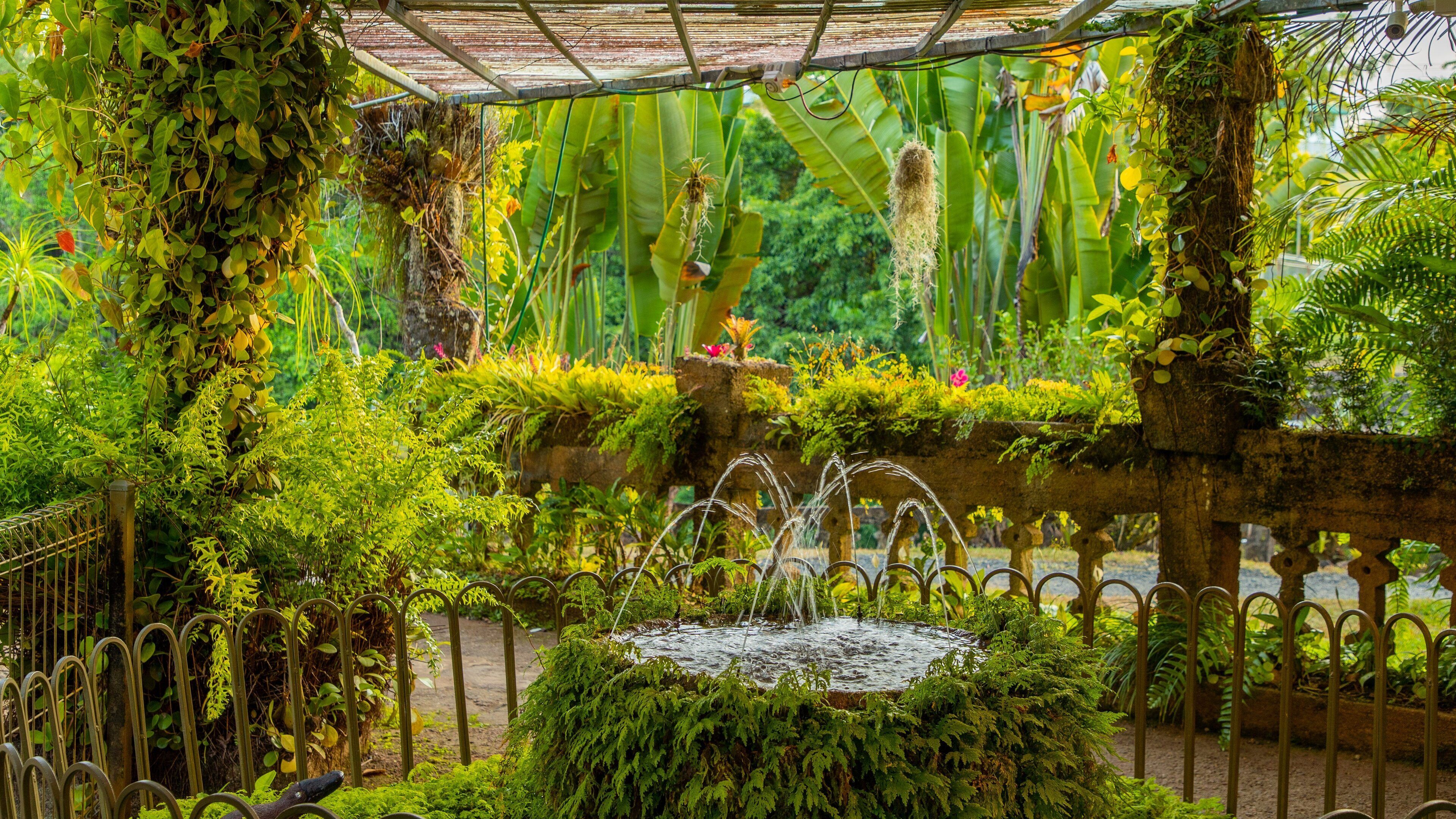 Paronella Park featuring a fountain and a park