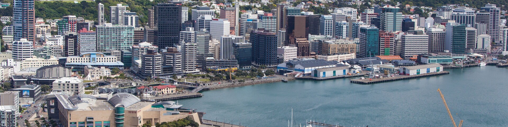 View from Mt Victoria over Wellington, New Zealand