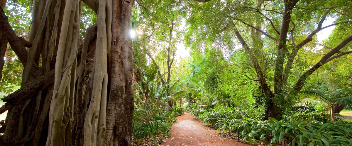 Queens Gardens caratteristiche di giardino e foresta
