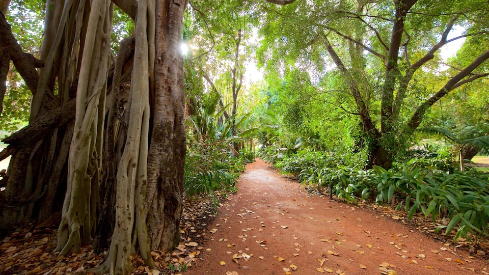 Queens Gardens featuring a park and forests