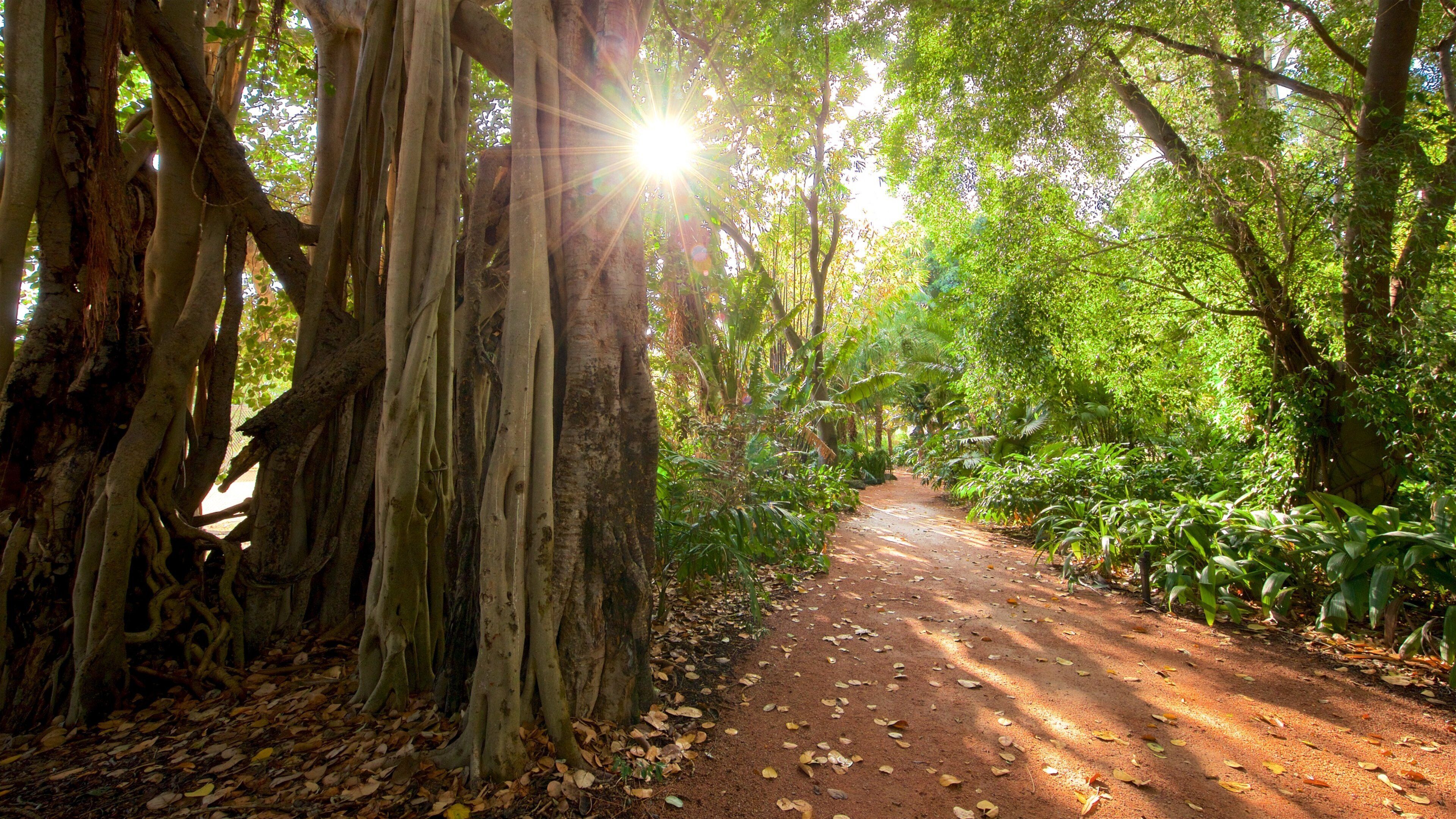 Queens Gardens bevat een park en bos