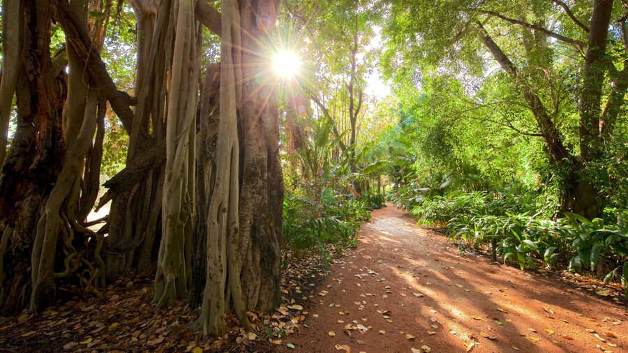 Queens Gardens featuring forests and a park