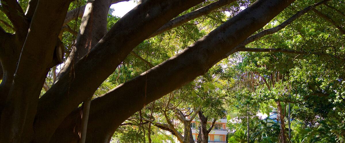 Queens Gardens showing a garden as well as a small group of people
