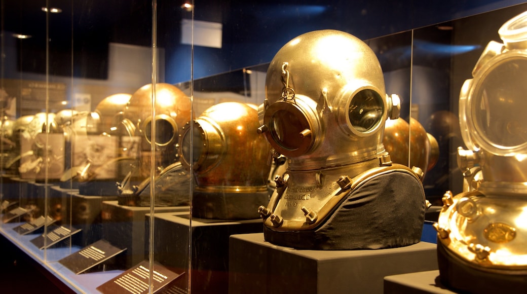 Museum of Tropical Queensland showing interior views and heritage elements
