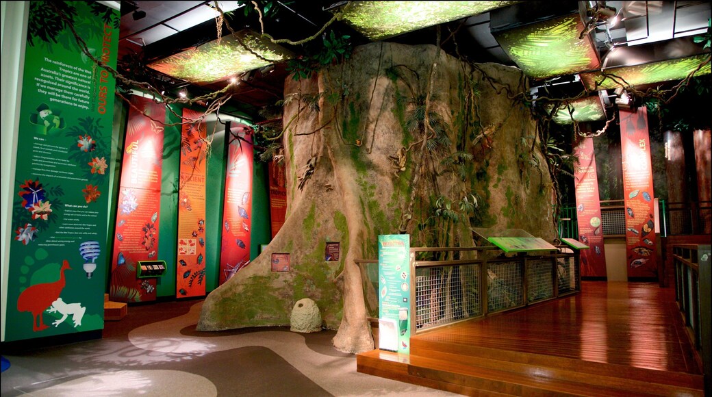 Museum of Tropical Queensland featuring interior views