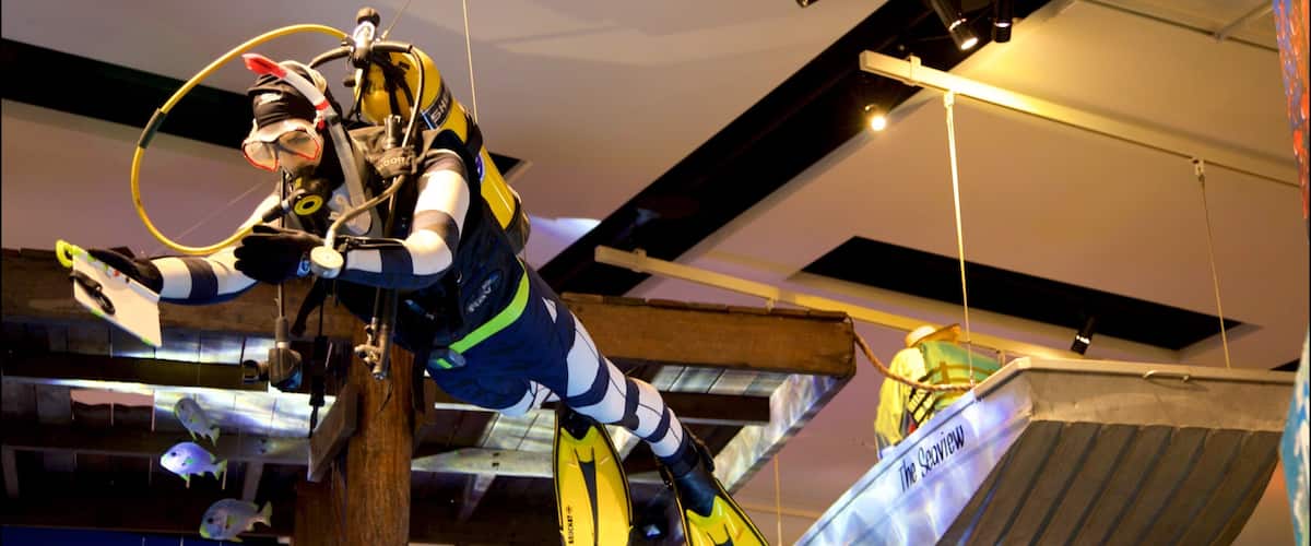 Museum of Tropical Queensland showing interior views