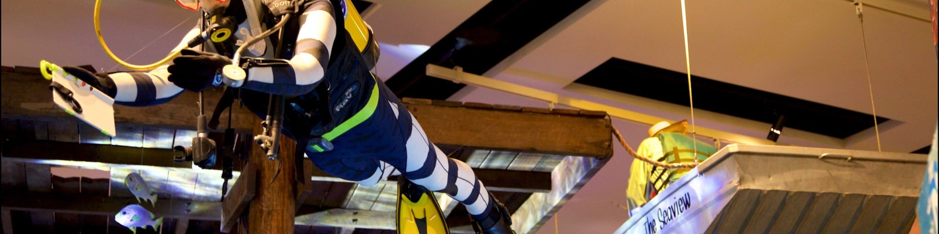 Museum of Tropical Queensland showing interior views