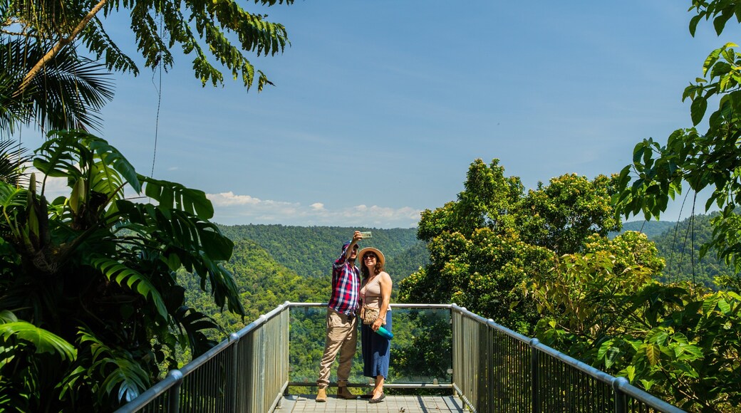 Mamu Rainforest Canopy Walkway which includes views and tranquil scenes as well as a couple