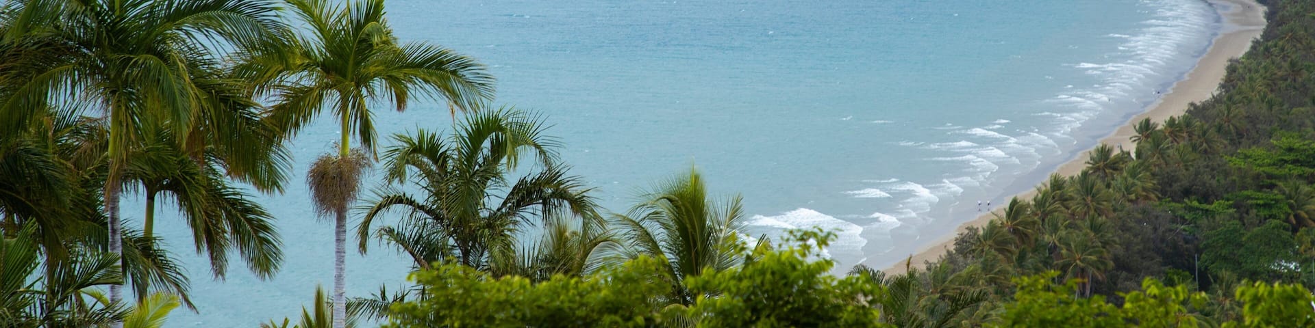 A coastal landscape with a sandy beach, palm trees, and a calm sea.