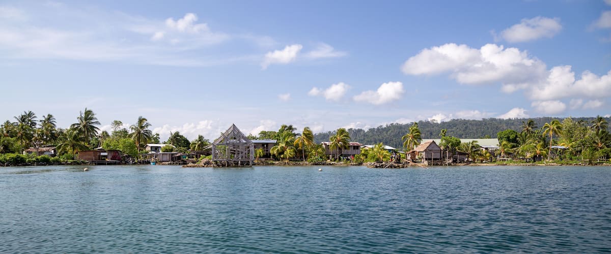 A coastal village with traditional houses and palm trees by the water.