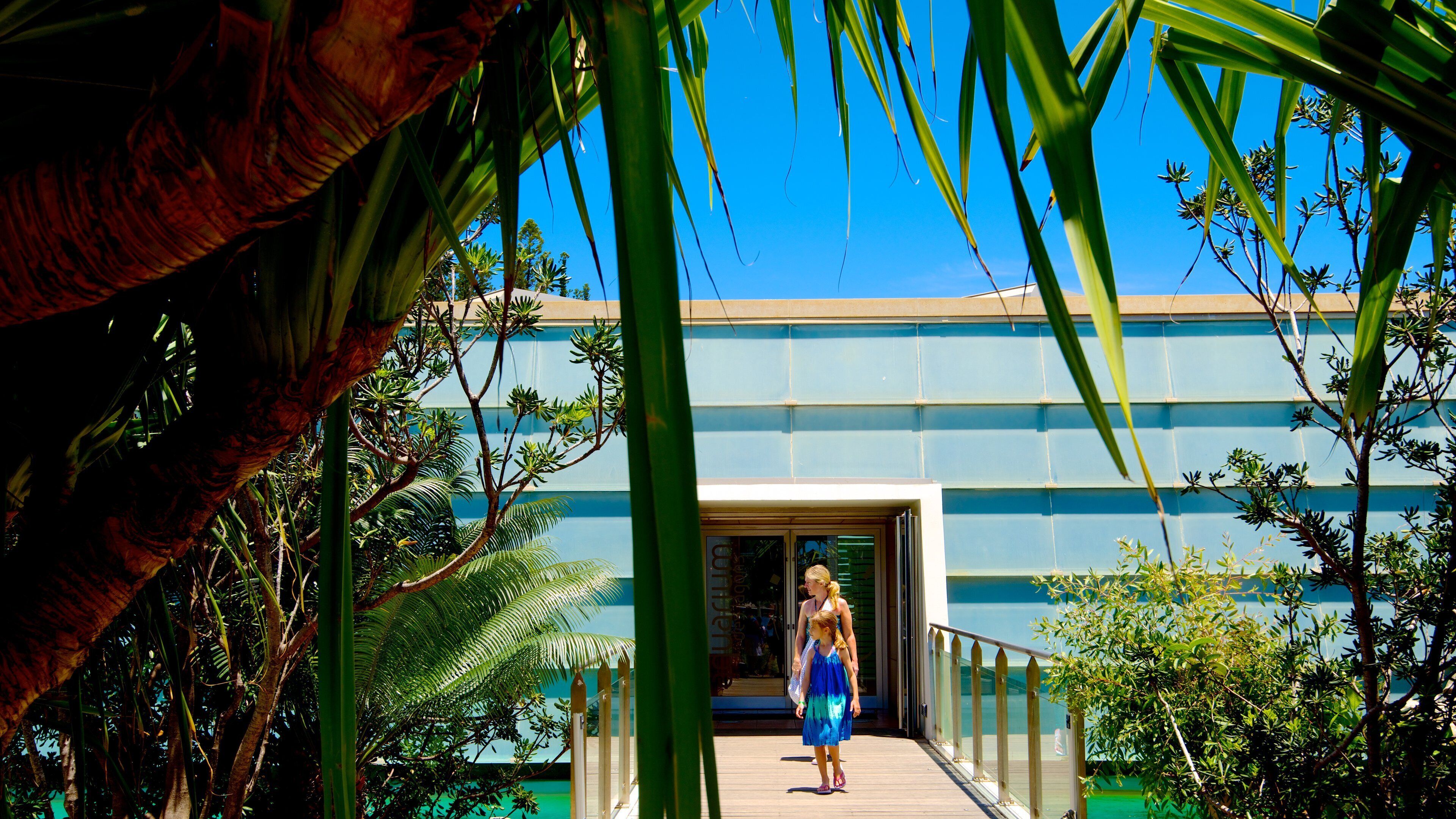 Noumea as well as a family