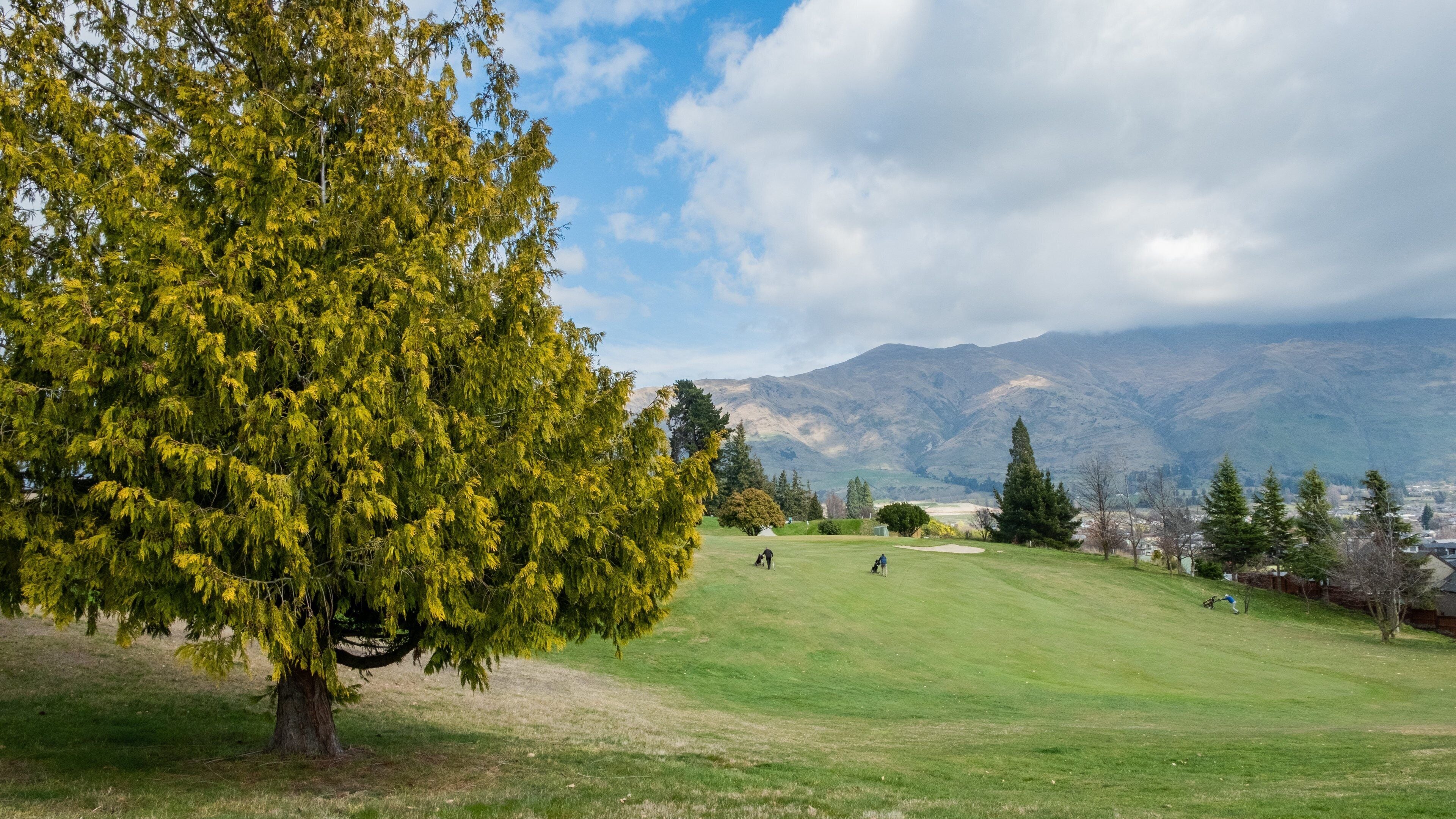 A golf course with a large tree and mountains in the background.