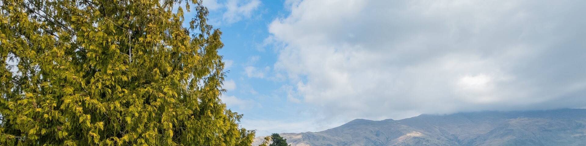 A golf course with a large tree and mountains in the background.