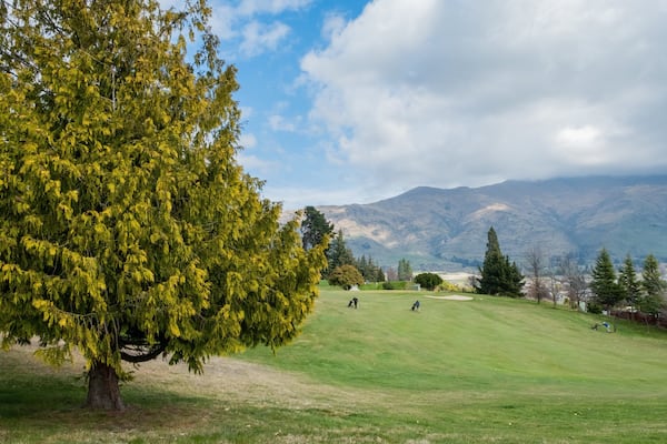 A golf course with a large tree and mountains in the background.