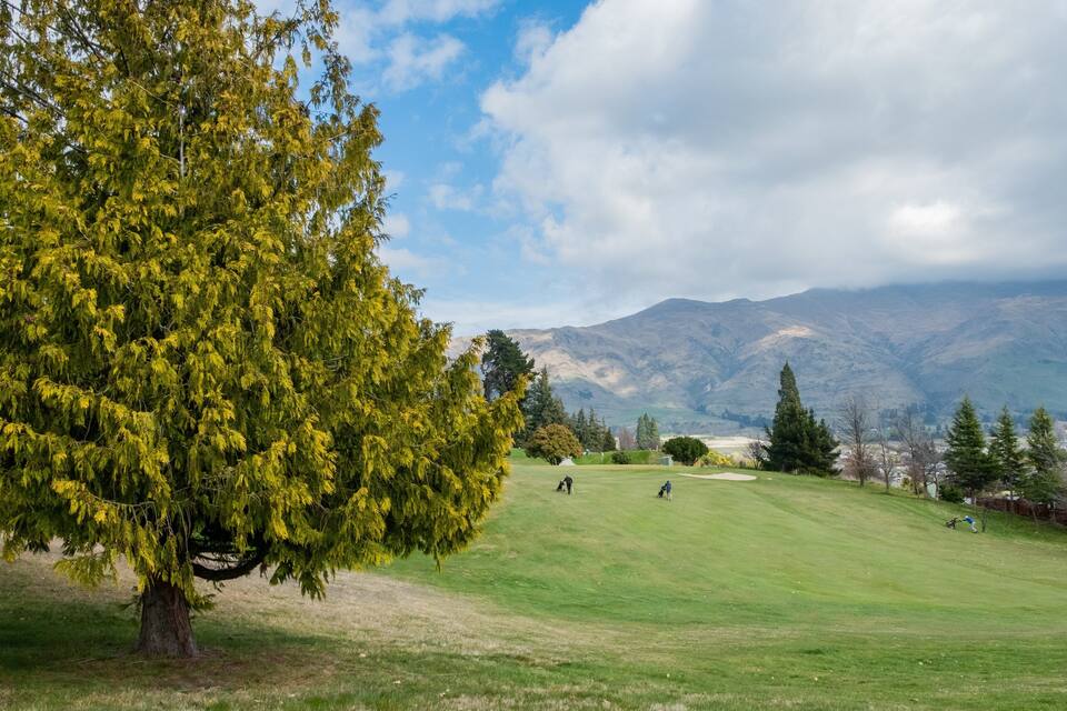 A golf course with a large tree and mountains in the background.
