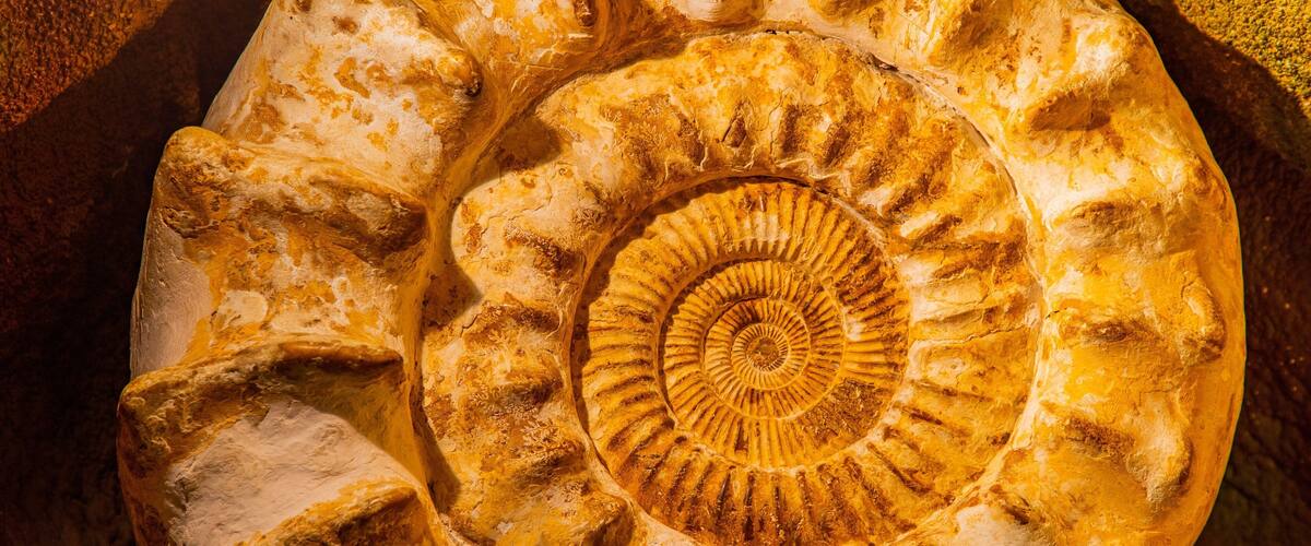 Crystal Caves featuring heritage elements