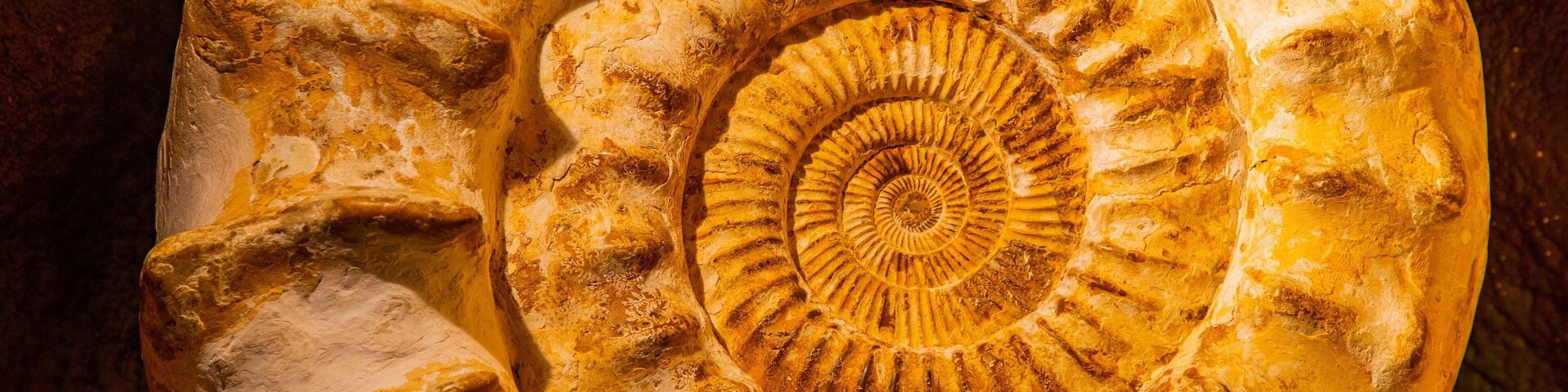 Crystal Caves featuring heritage elements